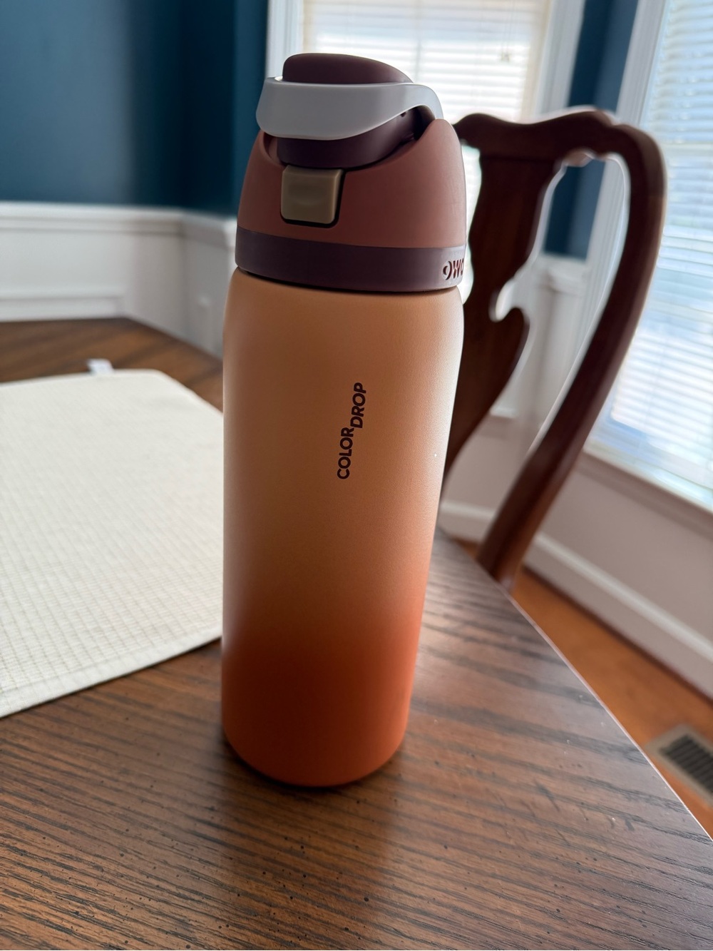 Owala Color Drop Cinnamon Swirl 32oz FreeSip Water Bottle Rare Limited Edition